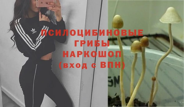 мефедрон Верхний Тагил