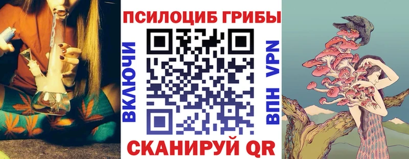 Купить закладки  Чернушка  Галлюциногенные грибы мицелий 